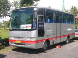 big bus with capacity maximum 45 people